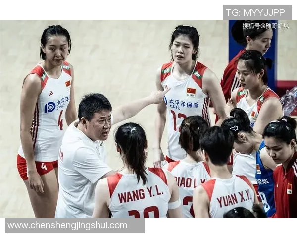 杭州排球队实力引发热议球迷观点各异引发讨论