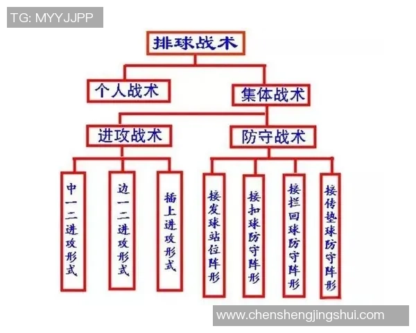 深入分析北京排球队整体压制战术的优势与实施策略 深入分析北京排球队整体压制战术的优势与实施策略
