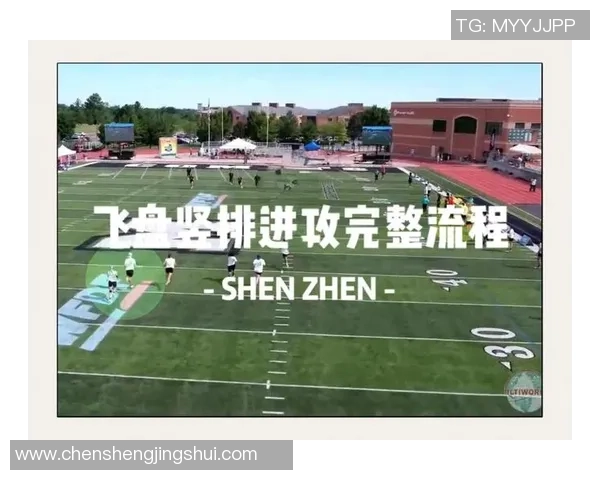 深圳飞盘队反击战术解析与实战应用探讨 深圳飞盘队反击战术解析与实战应用探讨