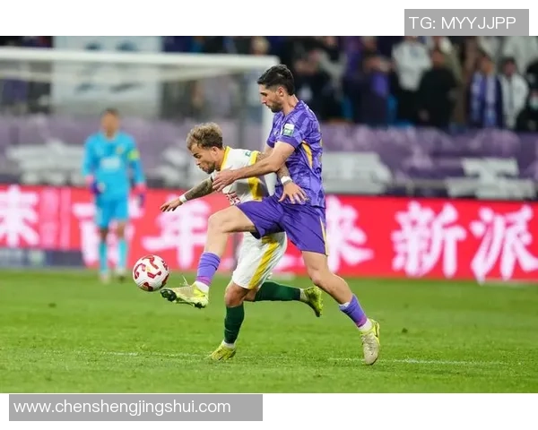 北京国安主场迎战天津泰达CCTV直播全程精彩回顾与分析