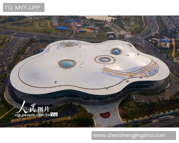 南京极限运动队荣登全国灵活性排行榜第二名展现卓越实力