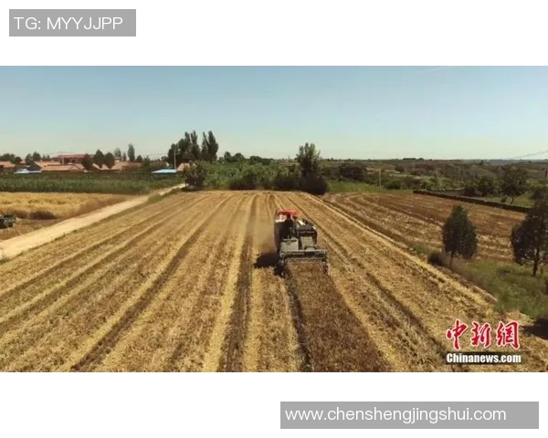 古铁雷斯的传奇人生与他在现代社会的影响力探讨