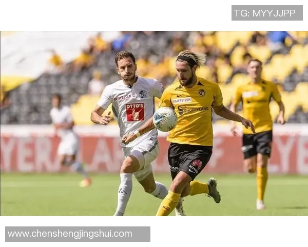 德国与瑞典精彩对决全场回顾分析与精彩瞬间重温 德国与瑞典精彩对决全场回顾分析与精彩瞬间重温