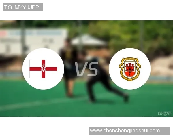 捷克与北爱尔兰足球赛前瞻分析及胜负预测详解