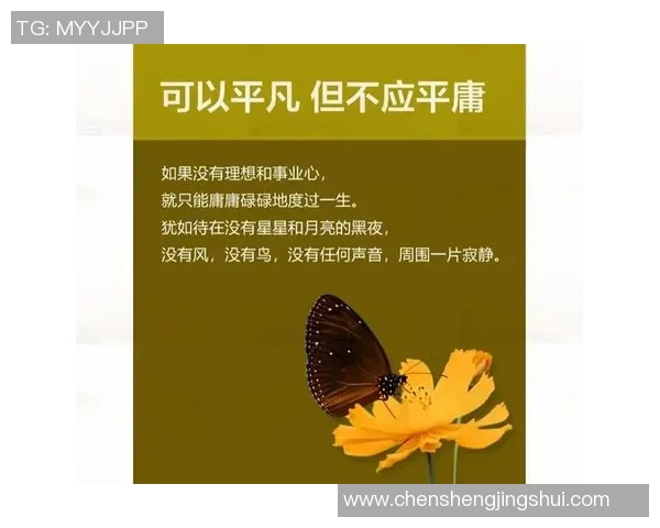 景菡一的成长之路与人生哲学探讨:从平凡到卓越的心路历程 景菡一的成长之路与人生哲学探讨:从平凡到卓越的心路历程